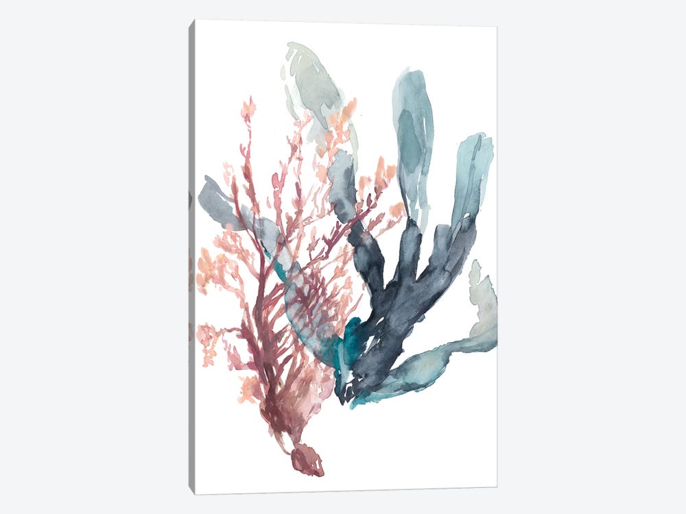 Sweet Seaweed I by Jennifer Goldberger 1-piece Canvas Art Print
