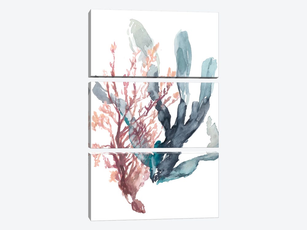 Sweet Seaweed I by Jennifer Goldberger 3-piece Art Print