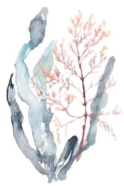 Sweet Seaweed II by Jennifer Goldberger art print