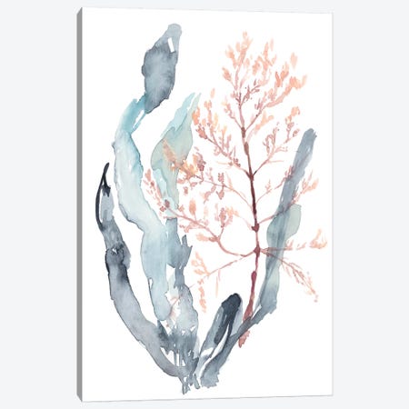Sweet Seaweed II Canvas Print #JGO838} by Jennifer Goldberger Canvas Art