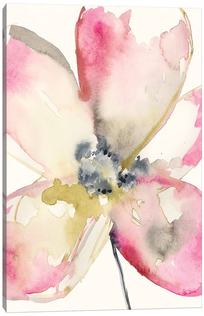 Magenta Petals II Canvas Art Print - Jennifer Goldberger