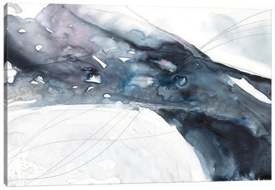 Agate Wave II Canvas Art Print - Jennifer Goldberger
