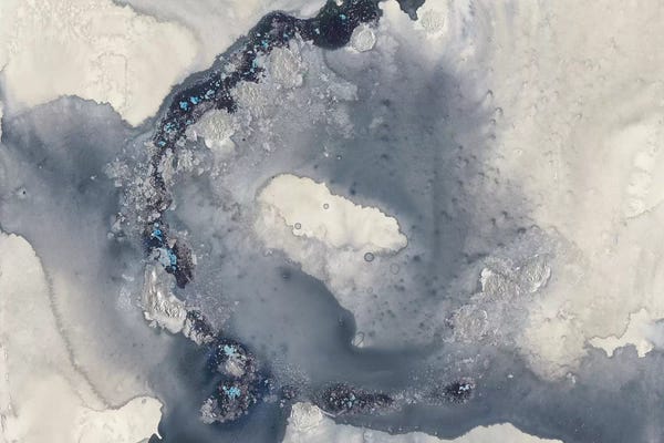 World Art Group: Celestial Paynes II by Jennifer Goldberger