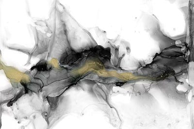 Golden Precipice I by Jennifer Goldberger canvas print