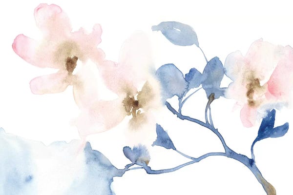 Blossoms: Cherry Blossom Light I by Jennifer Goldberger