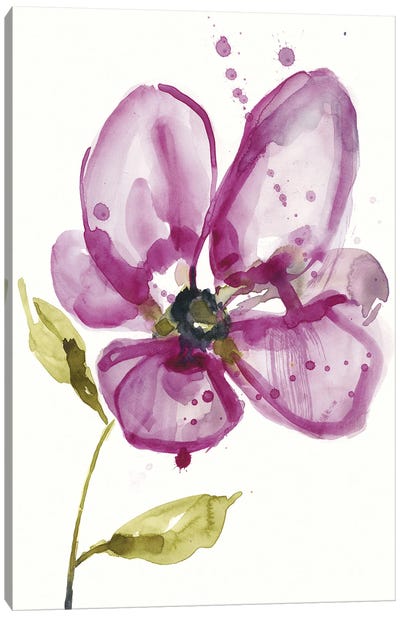 Violet Petals I Canvas Art Print - Violets