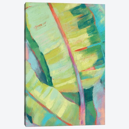 Vibrant Palm Leaves I Canvas Print #JGO980} by Jennifer Goldberger Canvas Wall Art