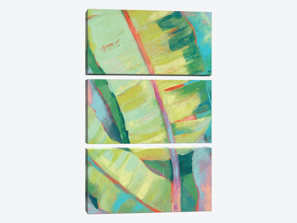Vibrant Palm Leaves I by Jennifer Goldberger 3-piece Canvas Art