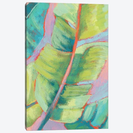 Vibrant Palm Leaves II Canvas Print #JGO981} by Jennifer Goldberger Canvas Artwork