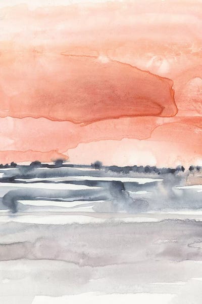 Coral Sky II by Jennifer Goldberger framed canvas print