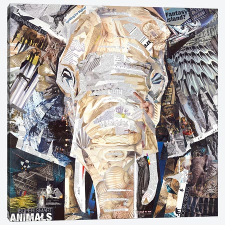 Elephant's Gaze Canvas Print #JGR5} by James Grey Canvas Wall Art
