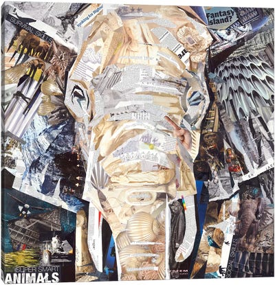 Elephant's Gaze Canvas Art Print - James Grey