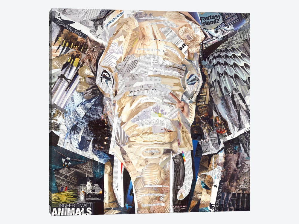 Elephant's Gaze 1-piece Canvas Artwork
