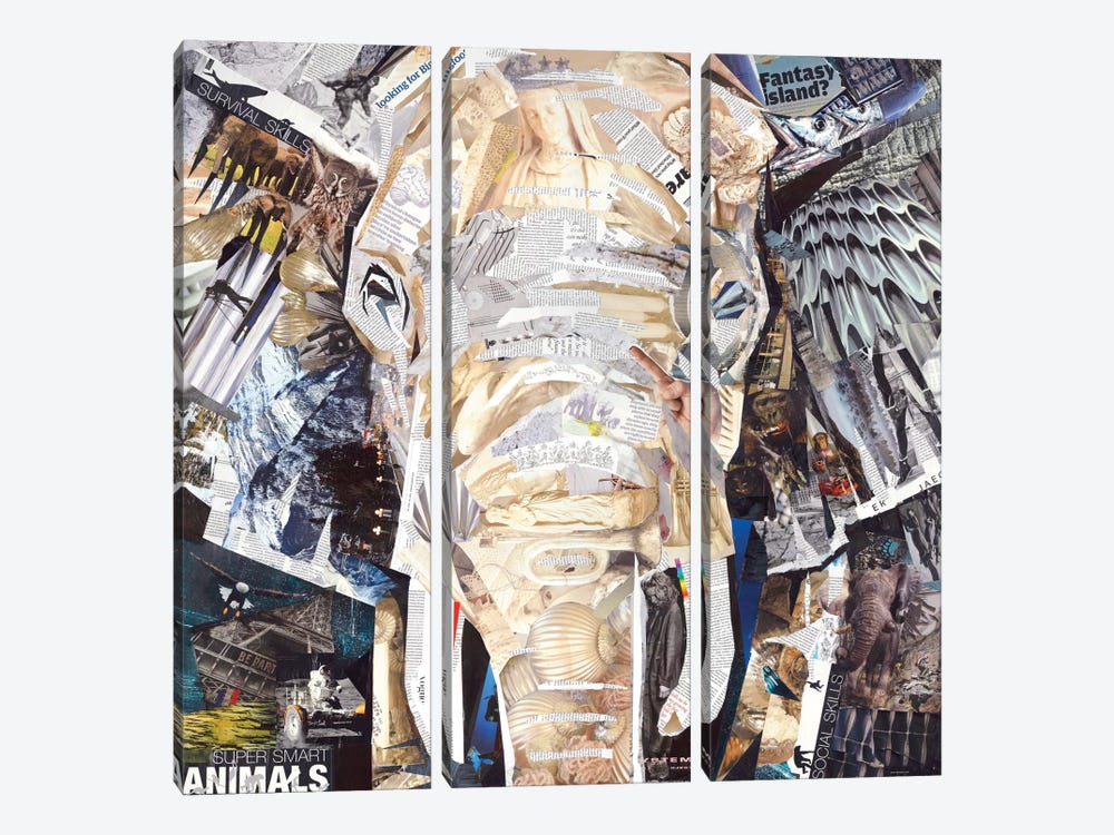 Elephant's Gaze by James Grey 3-piece Canvas Art