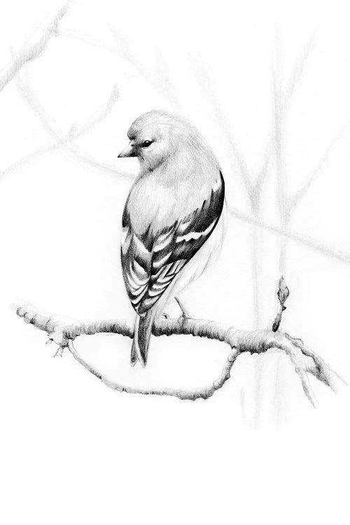 Come Home by Joanna Haber wall art
