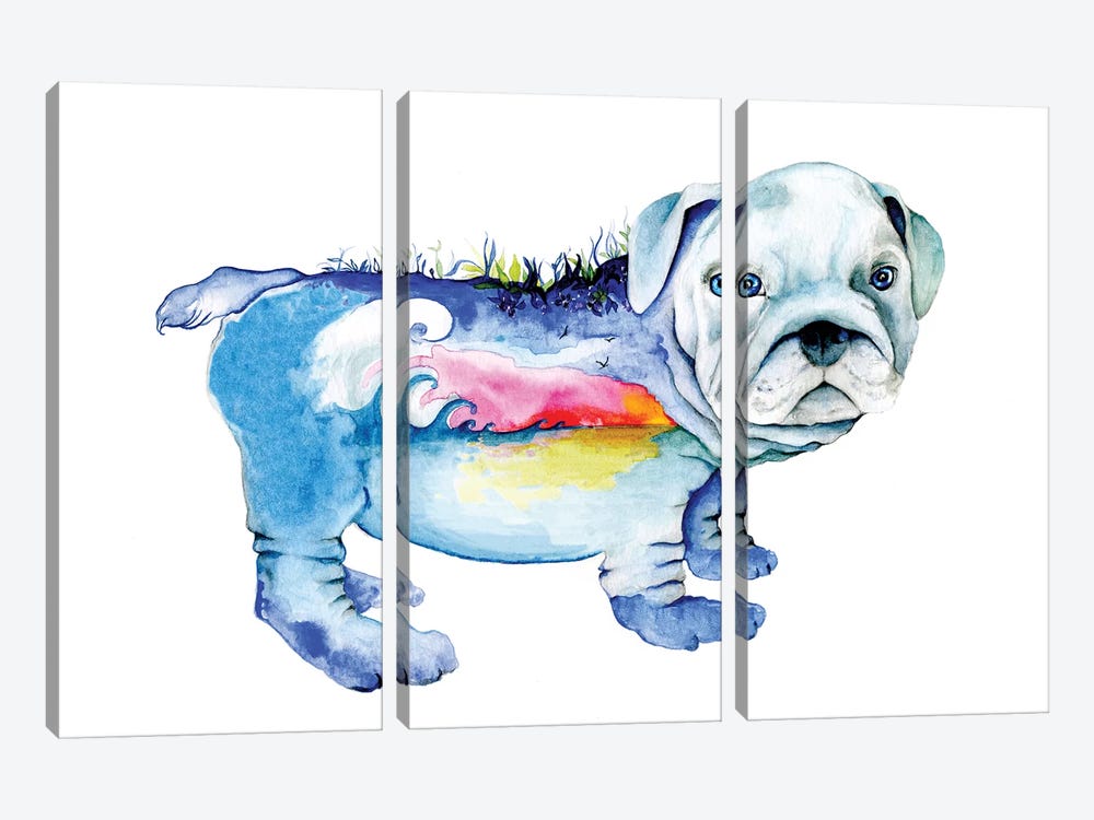 Dog by Joanna Haber 3-piece Canvas Artwork