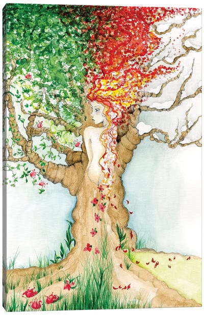 Four Seasons Canvas Art Print - Joanna Haber