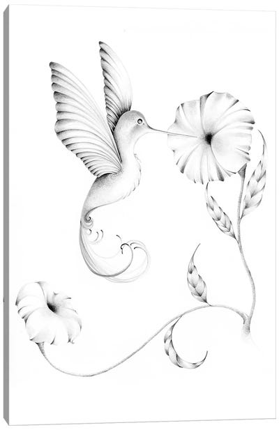 Hummingbird I Canvas Art Print - Hummingbird Art