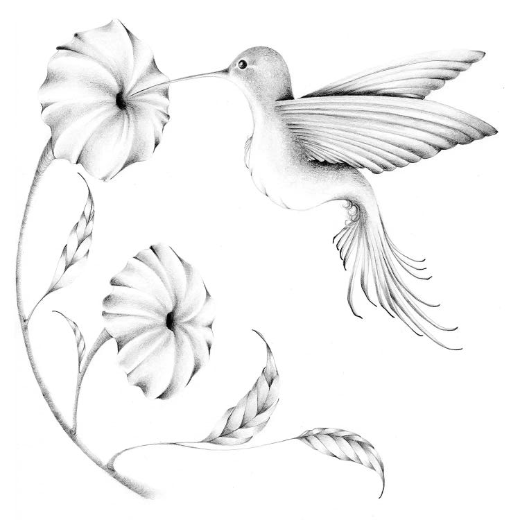 Hummmingbird II by Joanna Haber wall art