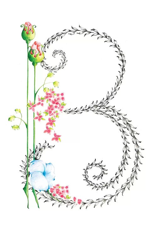 Letter B by Joanna Haber wall art