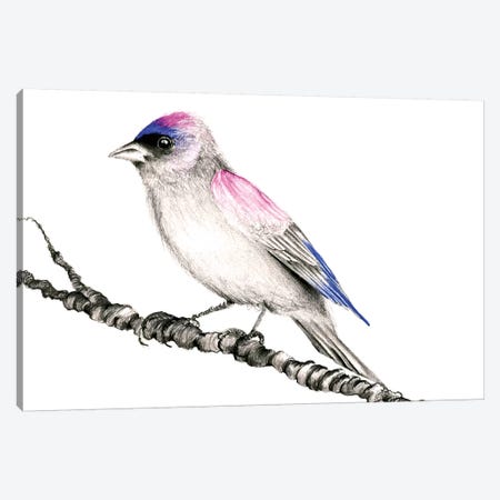 Purple Bird Canvas Print #JHB50} by Joanna Haber Canvas Wall Art