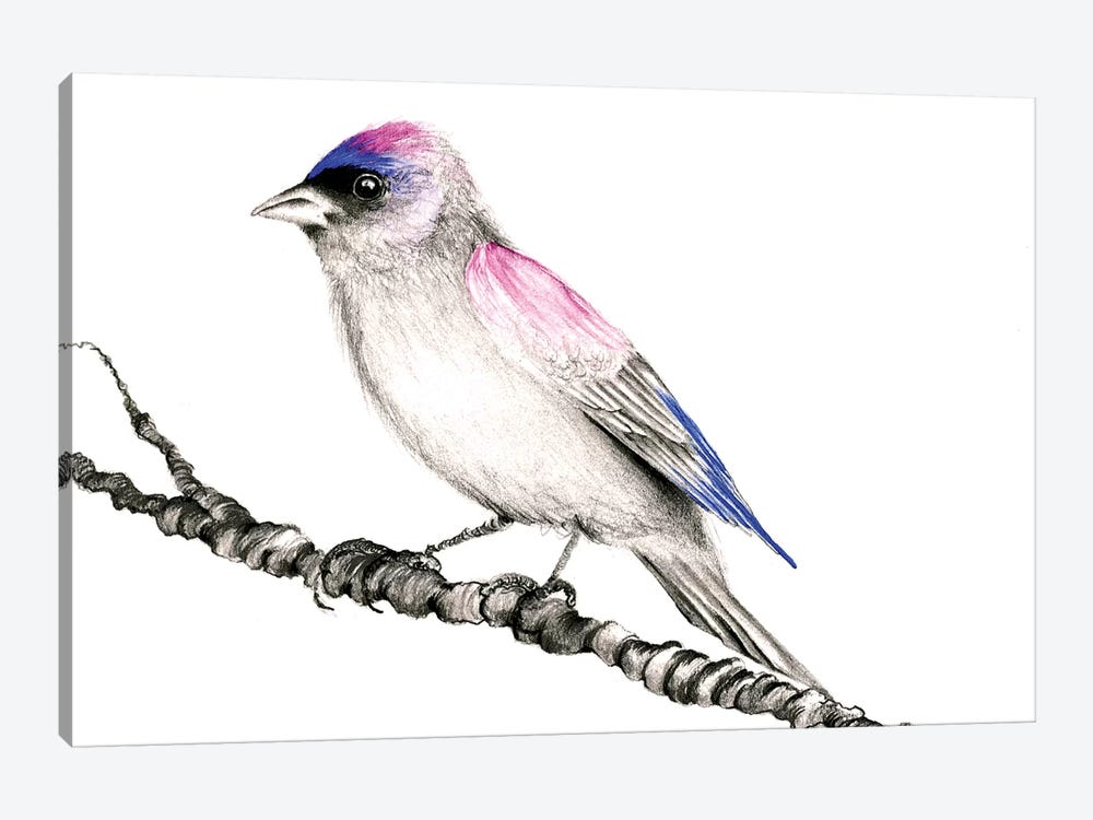 Purple Bird by Joanna Haber 1-piece Canvas Art