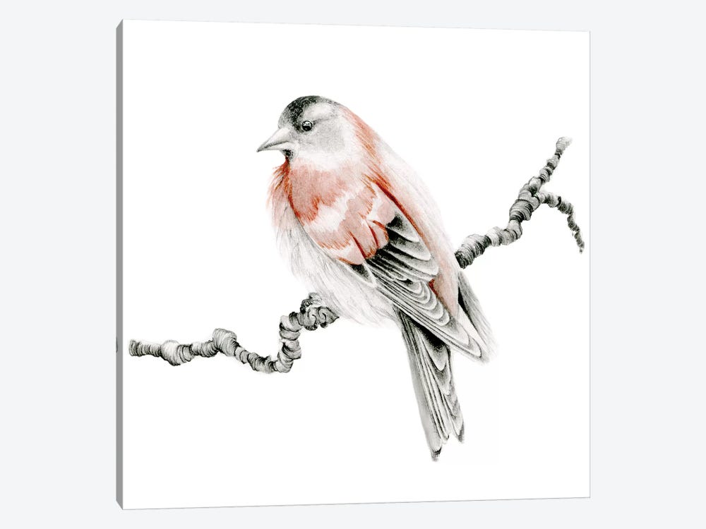 Red Bird by Joanna Haber 1-piece Art Print
