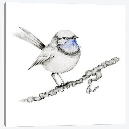 Royal Blue Bird Canvas Print #JHB55} by Joanna Haber Art Print