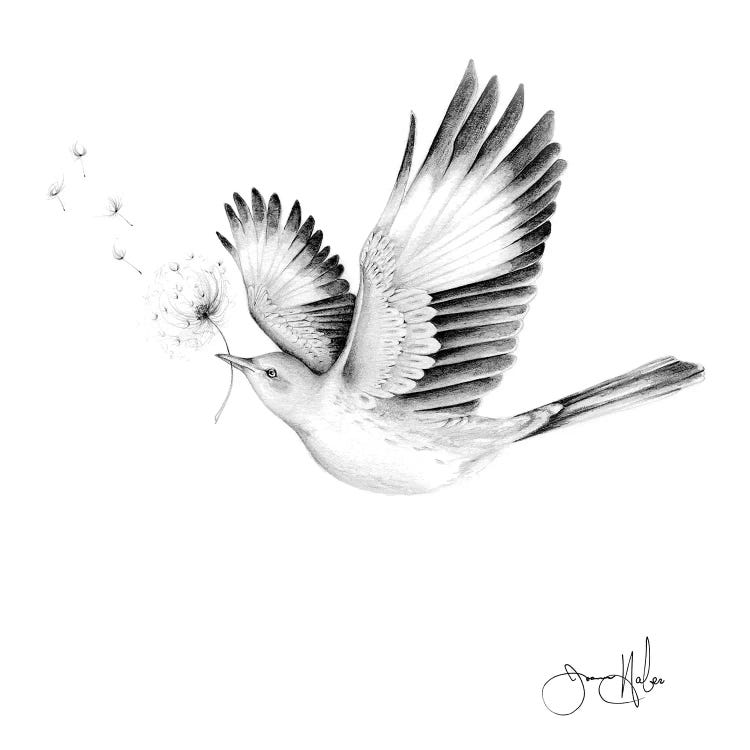 Spread Your Wings And Watch Your Wishes Come True by Joanna Haber canvas print