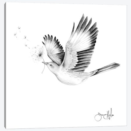 Spread Your Wings And Watch Your Wishes Come True Canvas Print #JHB57} by Joanna Haber Art Print