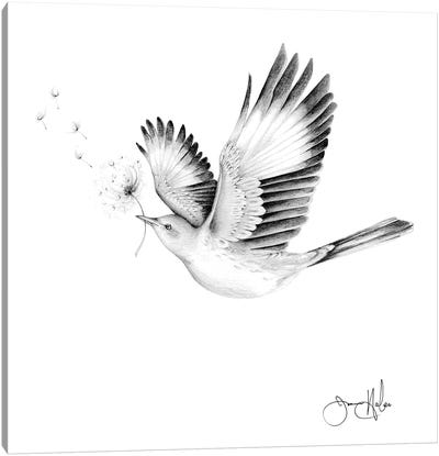 Spread Your Wings And Watch Your Wishes Come True Canvas Art Print - Joanna Haber