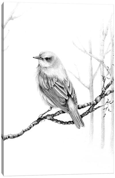 Black & White Bird Canvas Art Print