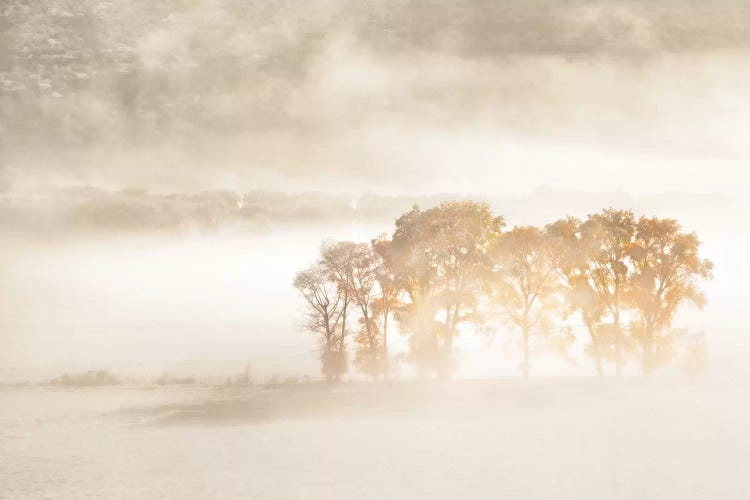 Autumn Dreams