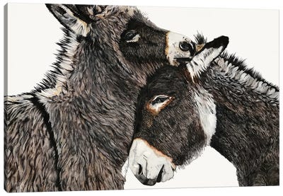 Johnny And June Canvas Art Print - Donkey Art