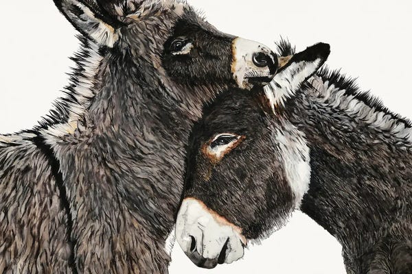 Donkeys: Johnny And June by Jodi Hatfiled