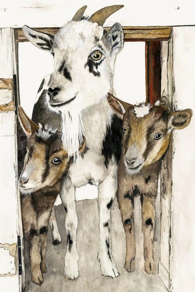 Goats: Three Amigos by Jodi Hatfiled