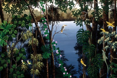 Kookaburras