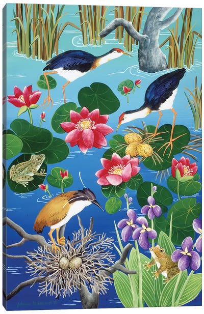 Nesting Waterfowl Canvas Art Print - Pond Art