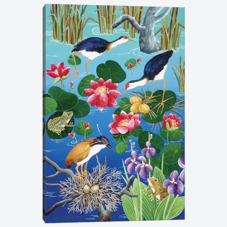 Nesting Waterfowl Canvas Print #JHL14} by Johanna Hildebrandt Canvas Print