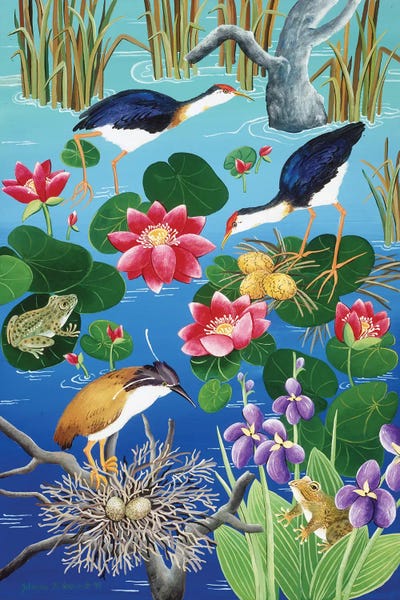 Tropical Décor: Nesting Waterfowl by Johanna Hildebrandt