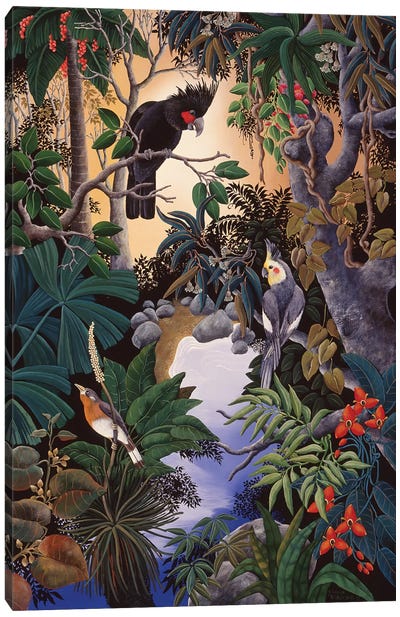 Palm Cockatoo Canvas Art Print - Tropical Leaf Art
