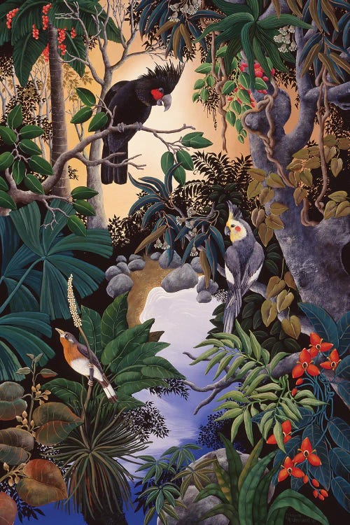 Palm Cockatoo