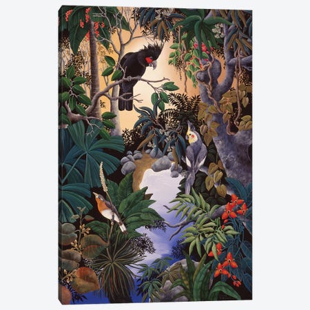 Palm Cockatoo Canvas Print #JHL15} by Johanna Hildebrandt Canvas Art Print