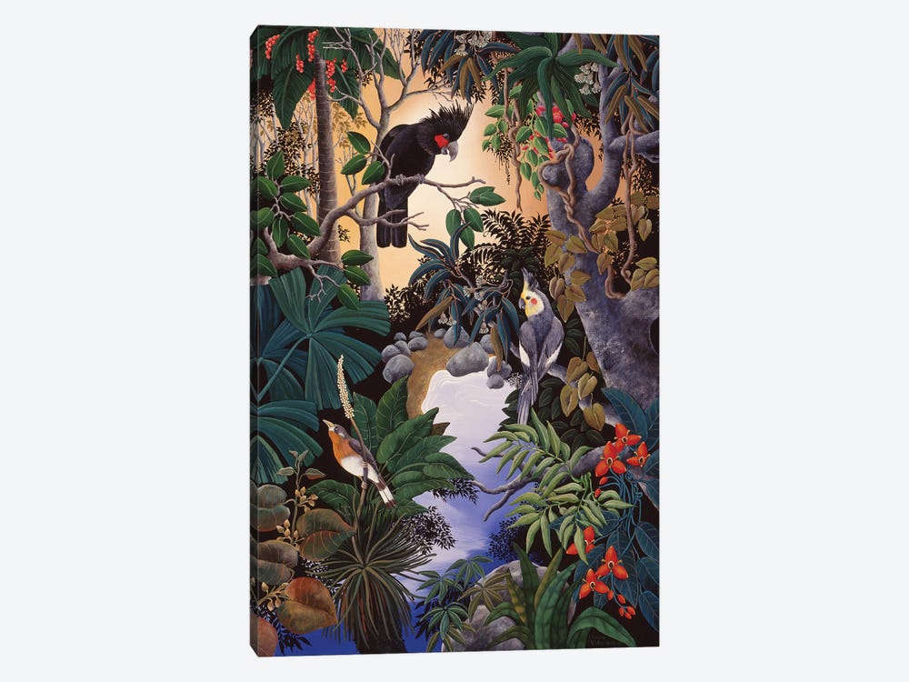 Palm Cockatoo by Johanna Hildebrandt 1-piece Canvas Artwork