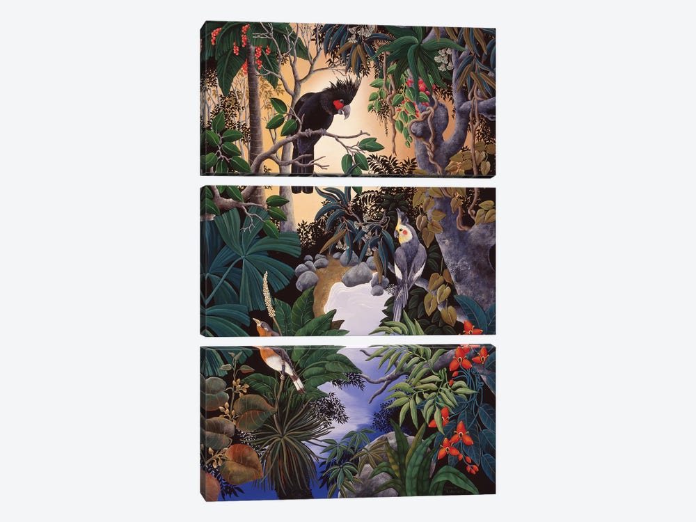 Palm Cockatoo by Johanna Hildebrandt 3-piece Canvas Artwork