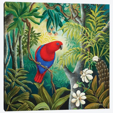 Parrot At Daybreak Canvas Print #JHL16} by Johanna Hildebrandt Canvas Art Print