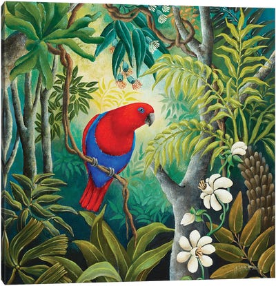 Parrot At Daybreak Canvas Art Print