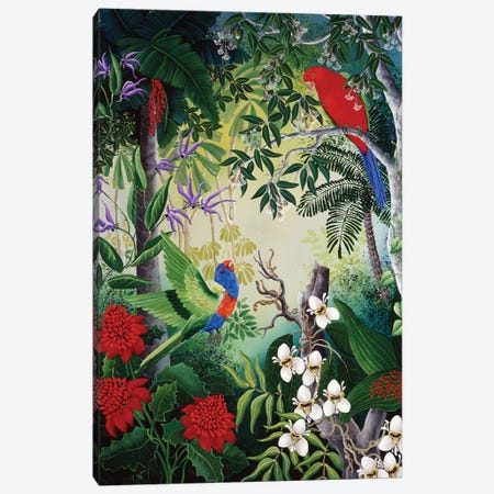 Parrots And Blooms Canvas Print #JHL17} by Johanna Hildebrandt Canvas Print