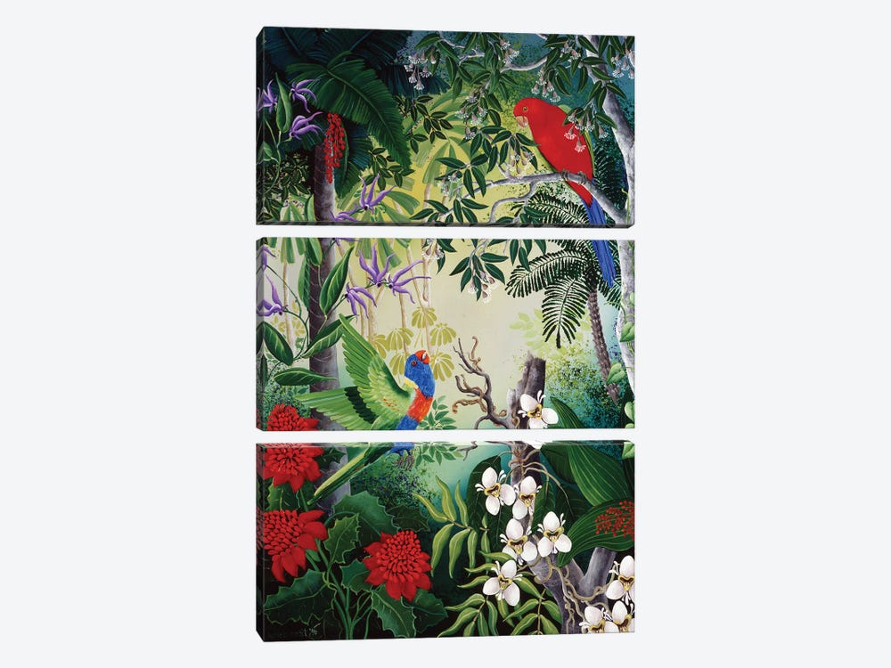 Parrots And Blooms by Johanna Hildebrandt 3-piece Canvas Art