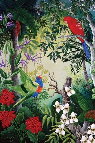 Jungles: Parrots And Blooms by Johanna Hildebrandt